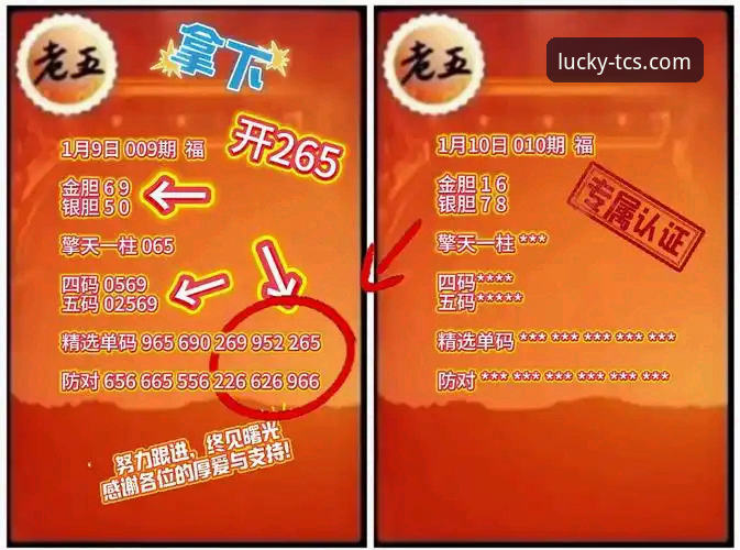 资深用户分享：天天彩神最新地址哪个好，三个月实测数据告诉你答案