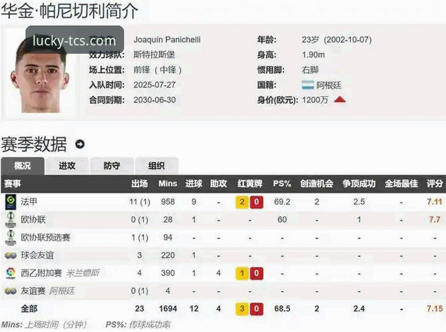 阿根廷锋线新星重伤折戟世界杯的战术影响与技术平台信息获取深度解析